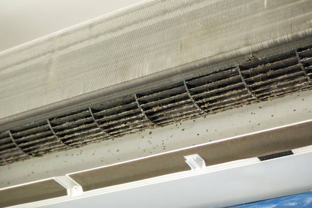 Best Home Air Vent Cleaning  in Tabor City, NC
